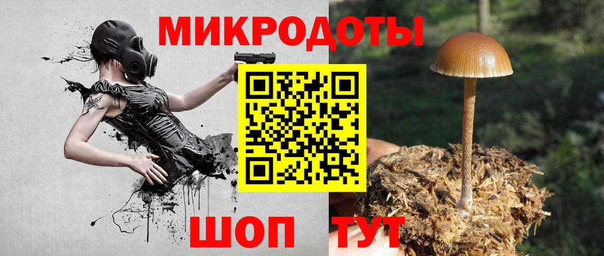 Верхняя Салда  Галлюциногенные грибы мухоморы  Вход с VPN 